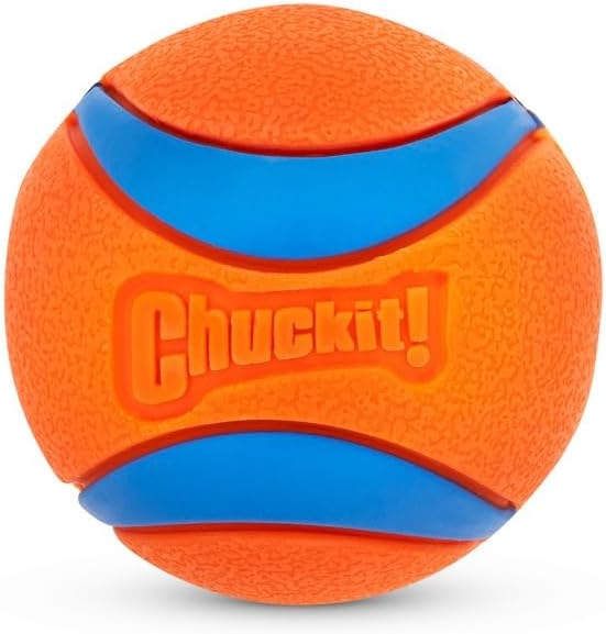 Chuckit! Ultra Squeaker Fetch Balls for Dogs, Floats, Medium 2.5in, 2 Pack
