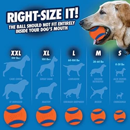 Chuckit! Ultra Squeaker Fetch Balls for Dogs, Floats, Medium 2.5in, 2 Pack
