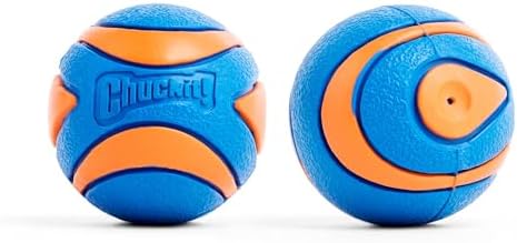 Chuckit! Ultra Squeaker Fetch Balls for Dogs, Floats, Medium 2.5in, 2 Pack