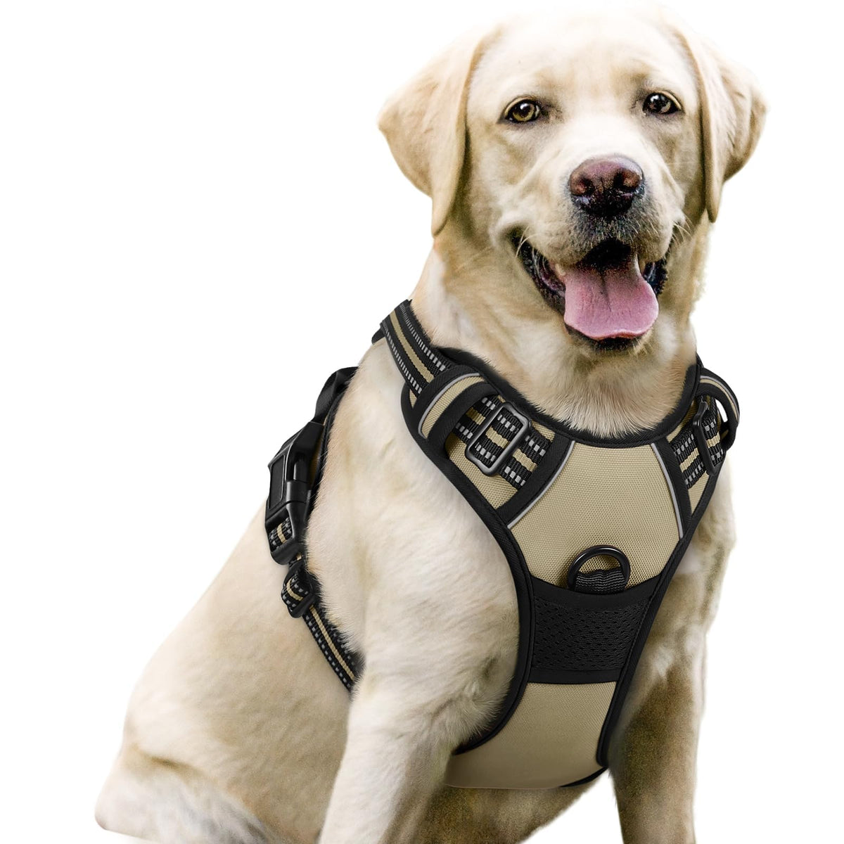 rabbitgoo Dog Harness, No Pull for Large Dogs with 2 Leash Clips, Pet Vest