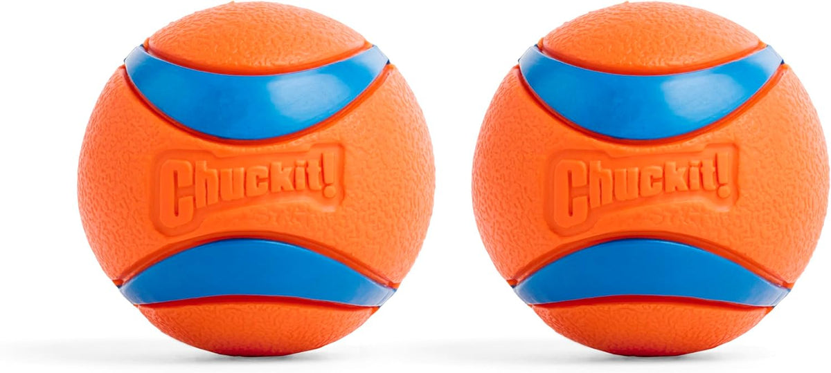 Chuckit! Ultra Squeaker Fetch Balls for Dogs, Floats, Medium 2.5in, 2 Pack