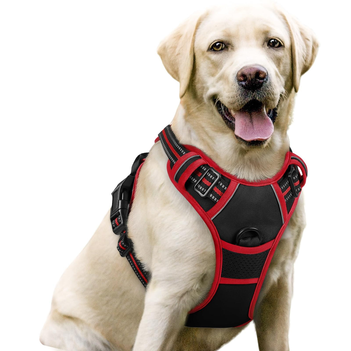 rabbitgoo Dog Harness, No Pull for Large Dogs with 2 Leash Clips, Pet Vest