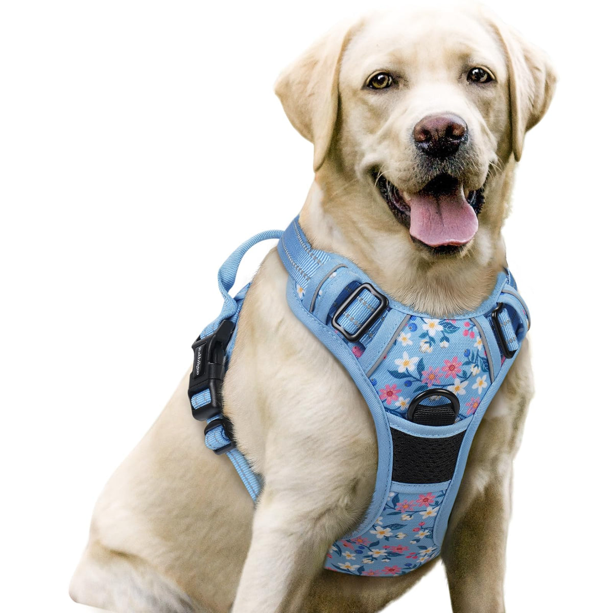 rabbitgoo Dog Harness, No Pull for Large Dogs with 2 Leash Clips, Pet Vest