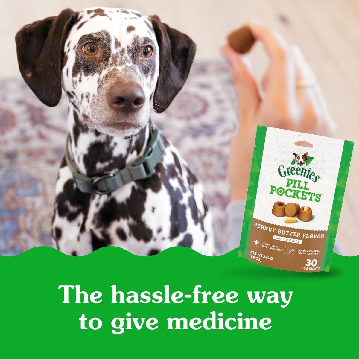 Greenies Pill Pockets Large Size Dog Treats, Peanut Butter, 15.8 oz
