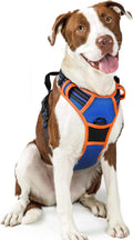 rabbitgoo Dog Harness, No Pull for Large Dogs with 2 Leash Clips, Pet Vest