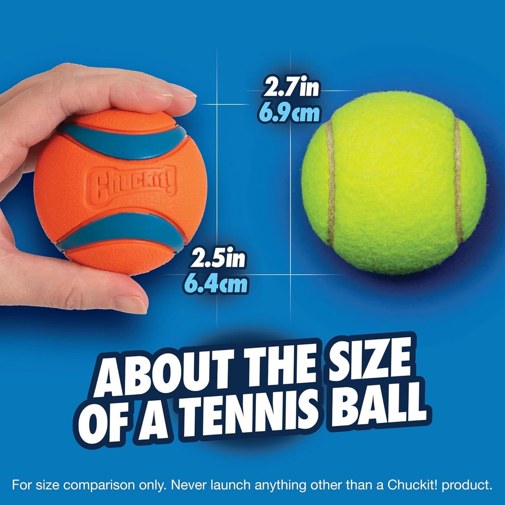 Chuckit! Ultra Squeaker Fetch Balls for Dogs, Floats, Medium 2.5in, 2 Pack