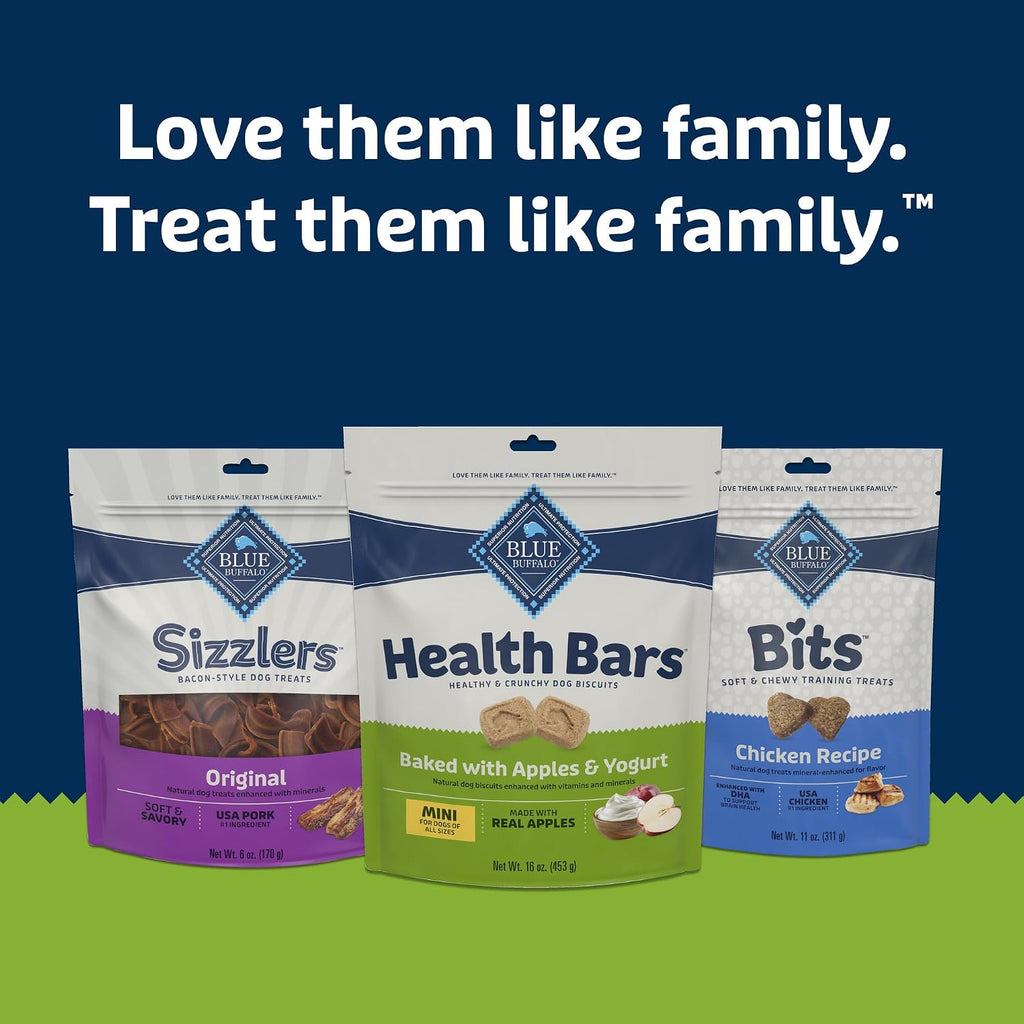 Blue Buffalo Health Bars Pumpkin & Cinnamon Dog Biscuits, 16 oz