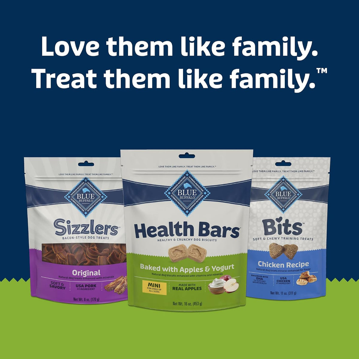 Blue Buffalo Health Bars Pumpkin & Cinnamon Dog Biscuits, 16 oz