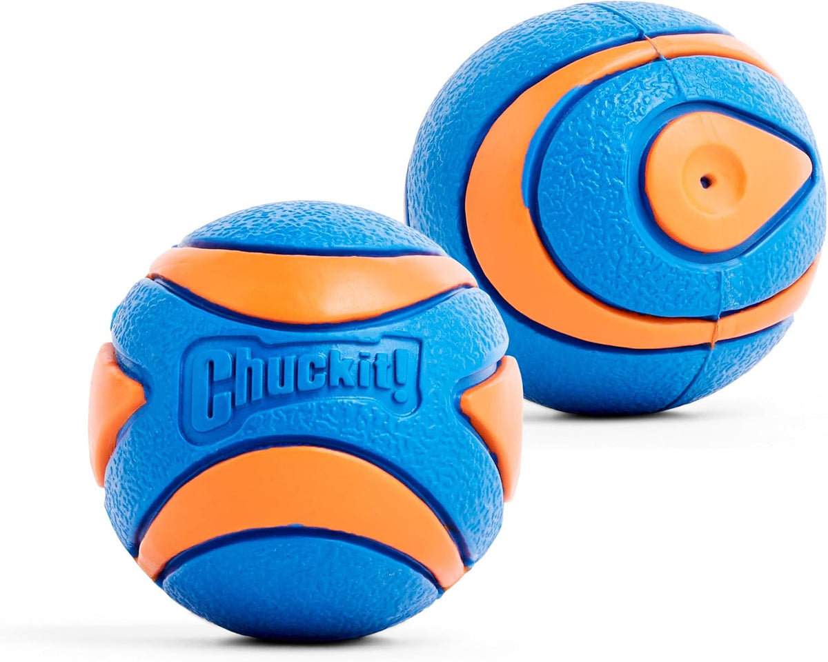 Chuckit! Ultra Squeaker Fetch Balls for Dogs, Floats, Medium 2.5in, 2 Pack