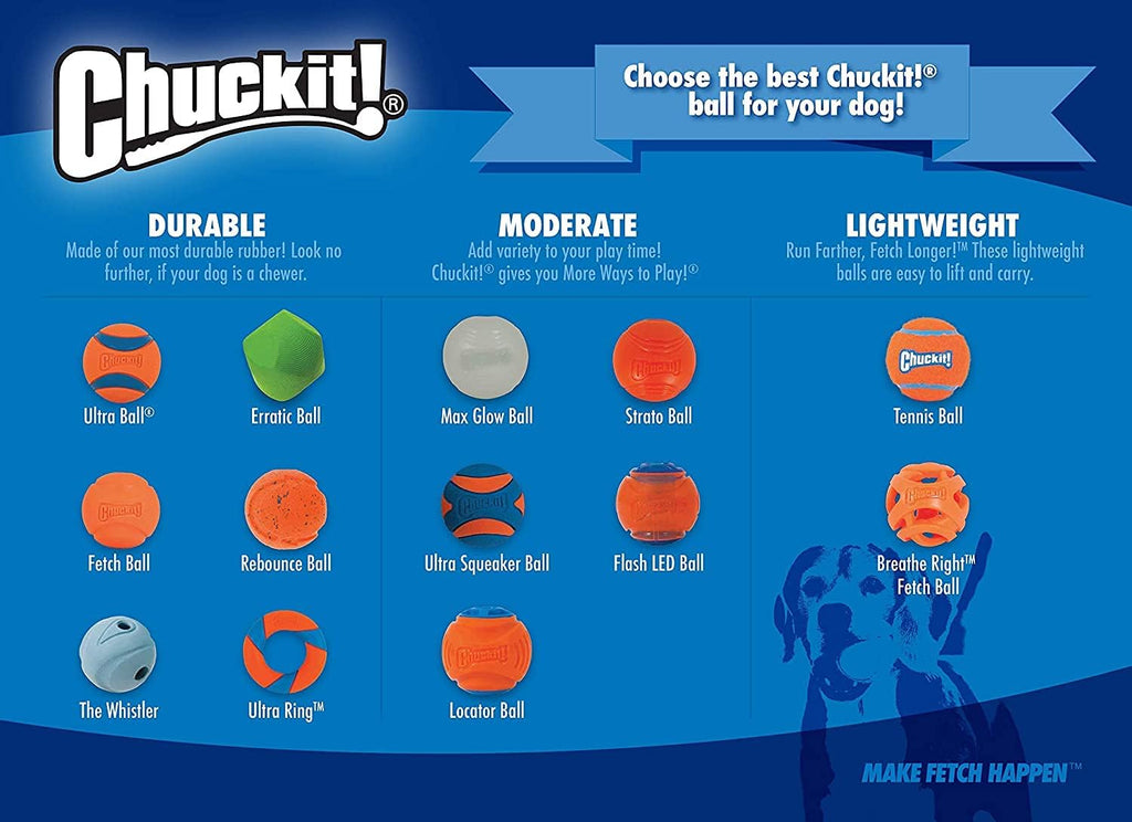 Chuckit! Ultra Squeaker Fetch Balls for Dogs, Floats, Medium 2.5in, 2 Pack