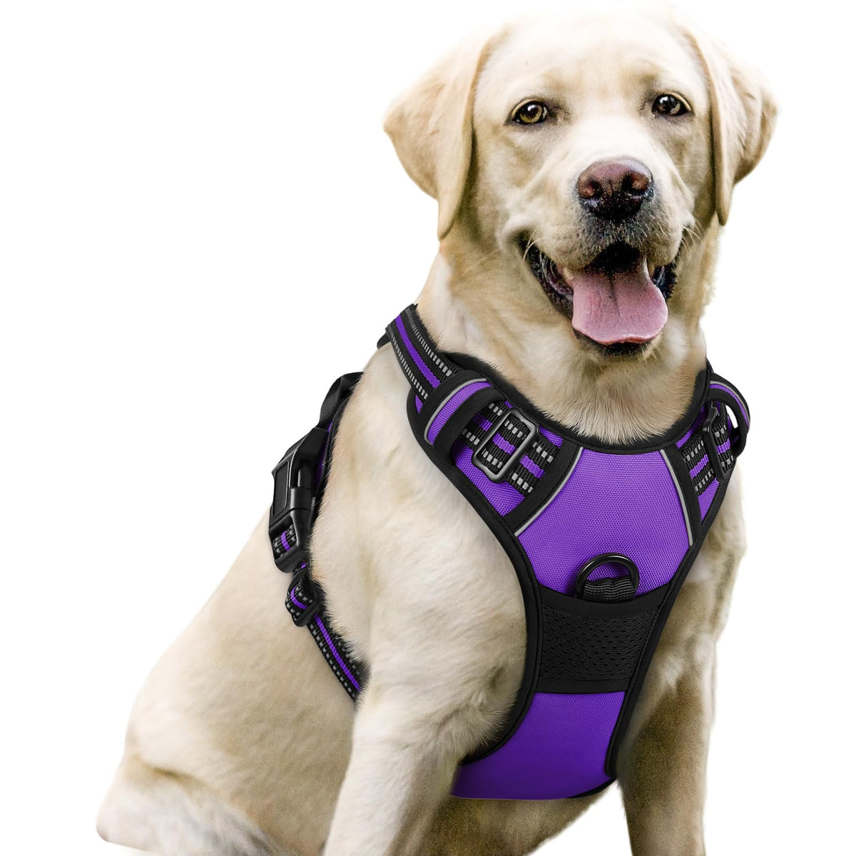 rabbitgoo Dog Harness, No Pull for Large Dogs with 2 Leash Clips, Pet Vest