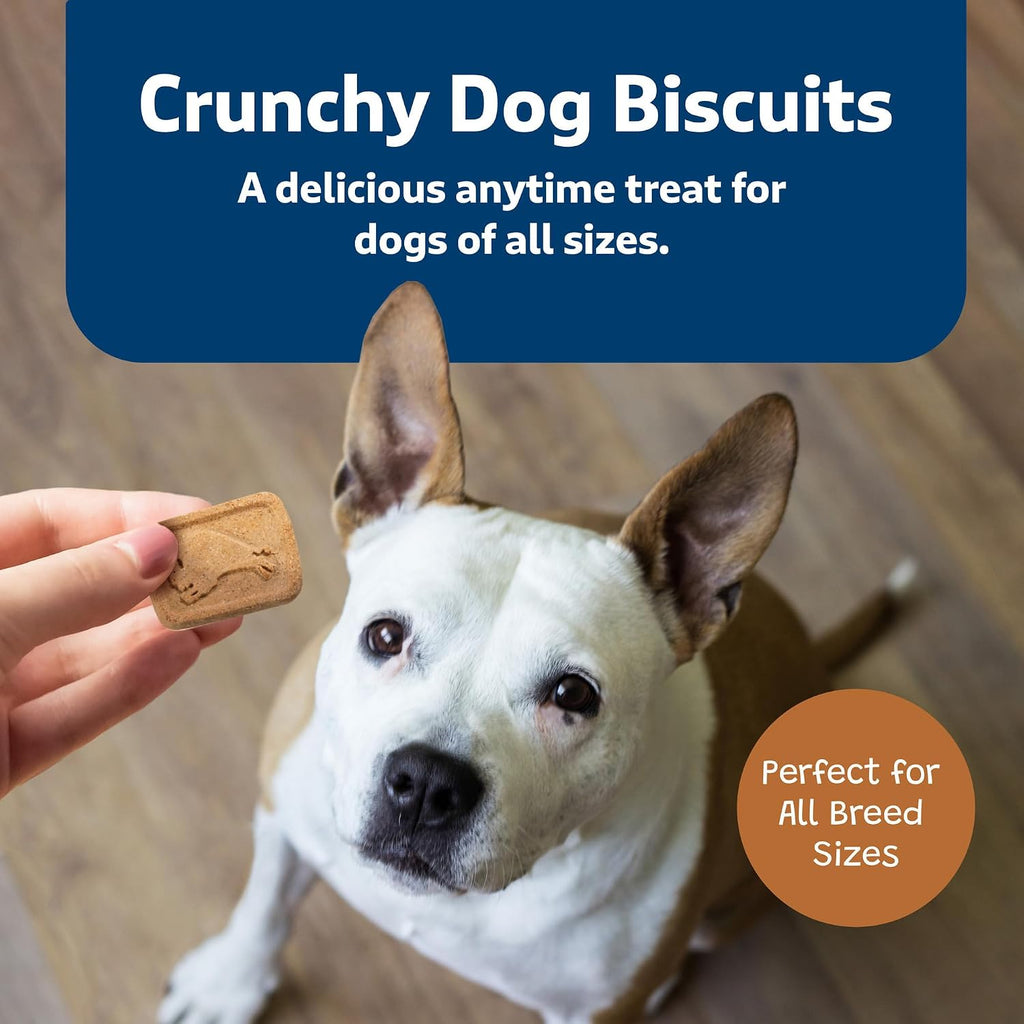 Blue Buffalo Health Bars Pumpkin & Cinnamon Dog Biscuits, 16 oz