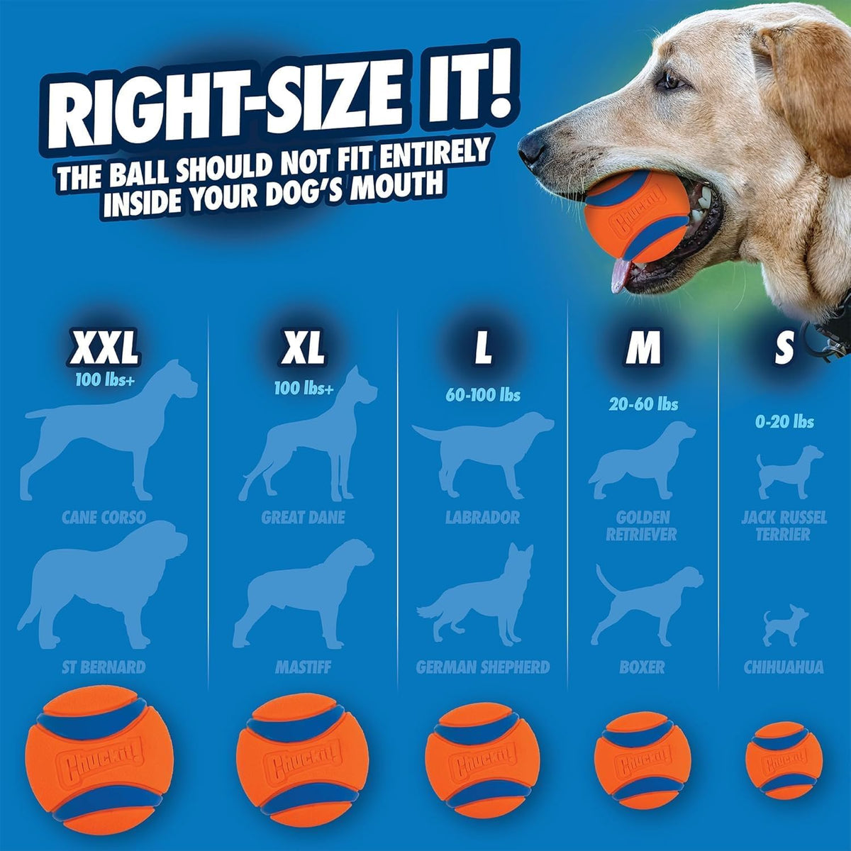 Chuckit! Ultra Squeaker Fetch Balls for Dogs, Floats, Medium 2.5in, 2 Pack