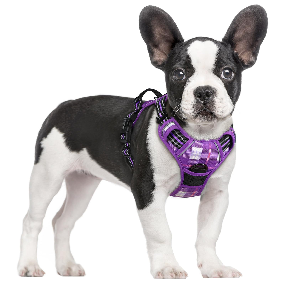 rabbitgoo Dog Harness, No Pull for Large Dogs with 2 Leash Clips, Pet Vest