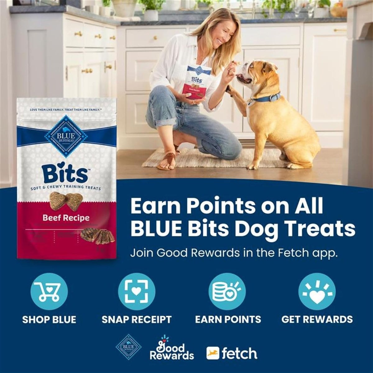 Blue Buffalo Health Bars Pumpkin & Cinnamon Dog Biscuits, 16 oz