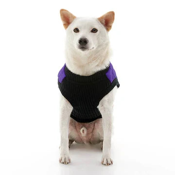 Bomber Vest: Violet