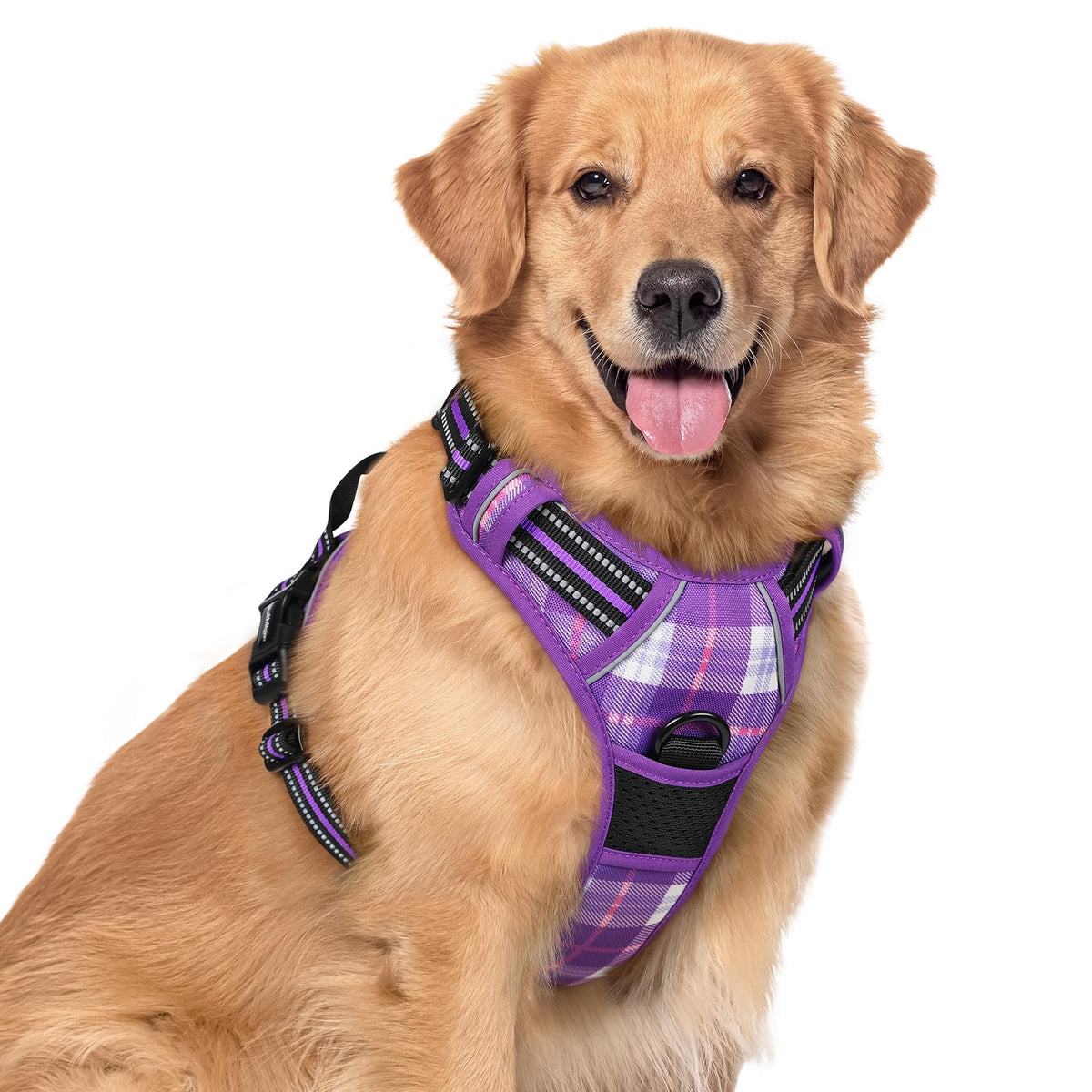 rabbitgoo Dog Harness, No Pull for Large Dogs with 2 Leash Clips, Pet Vest
