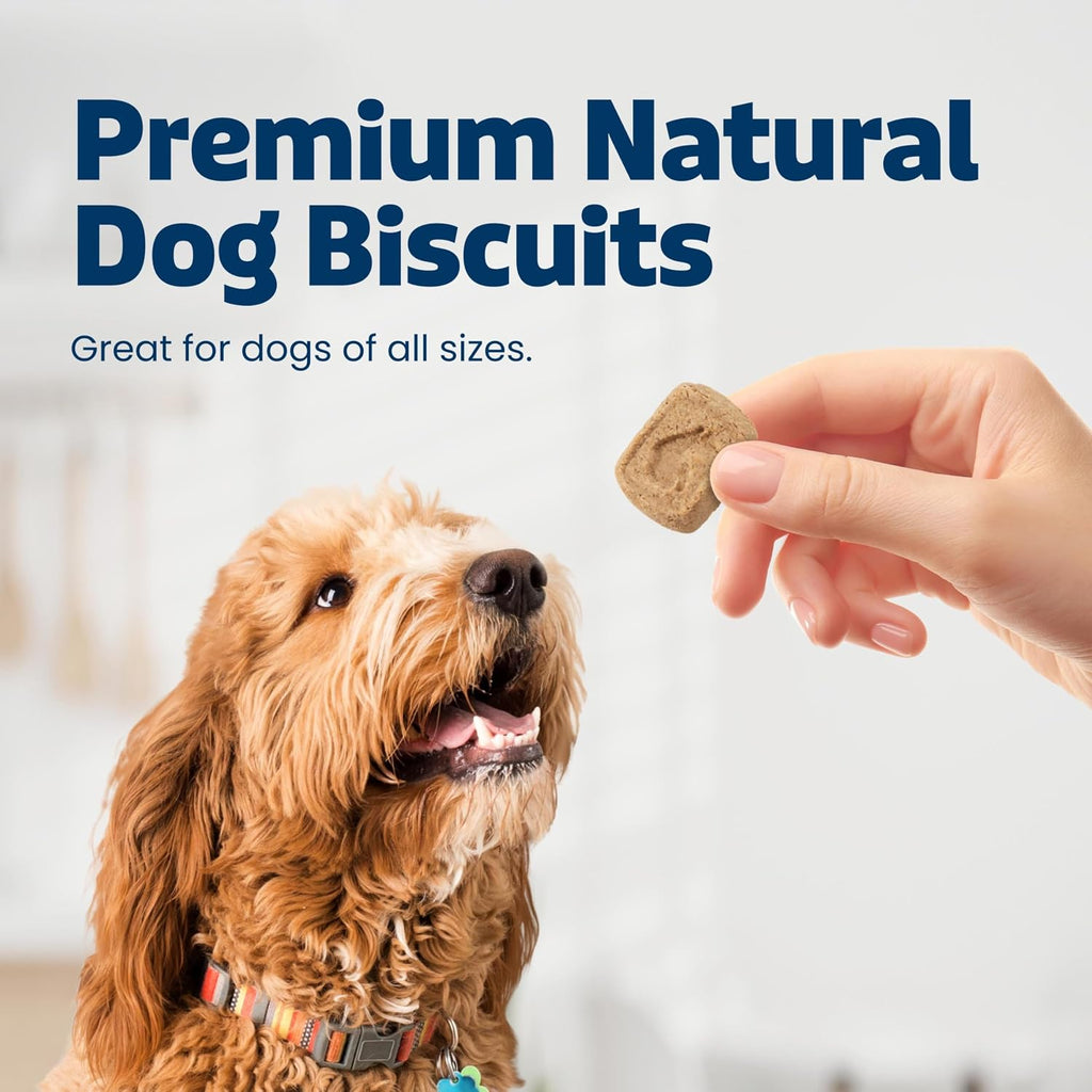 Blue Buffalo Health Bars Pumpkin & Cinnamon Dog Biscuits, 16 oz