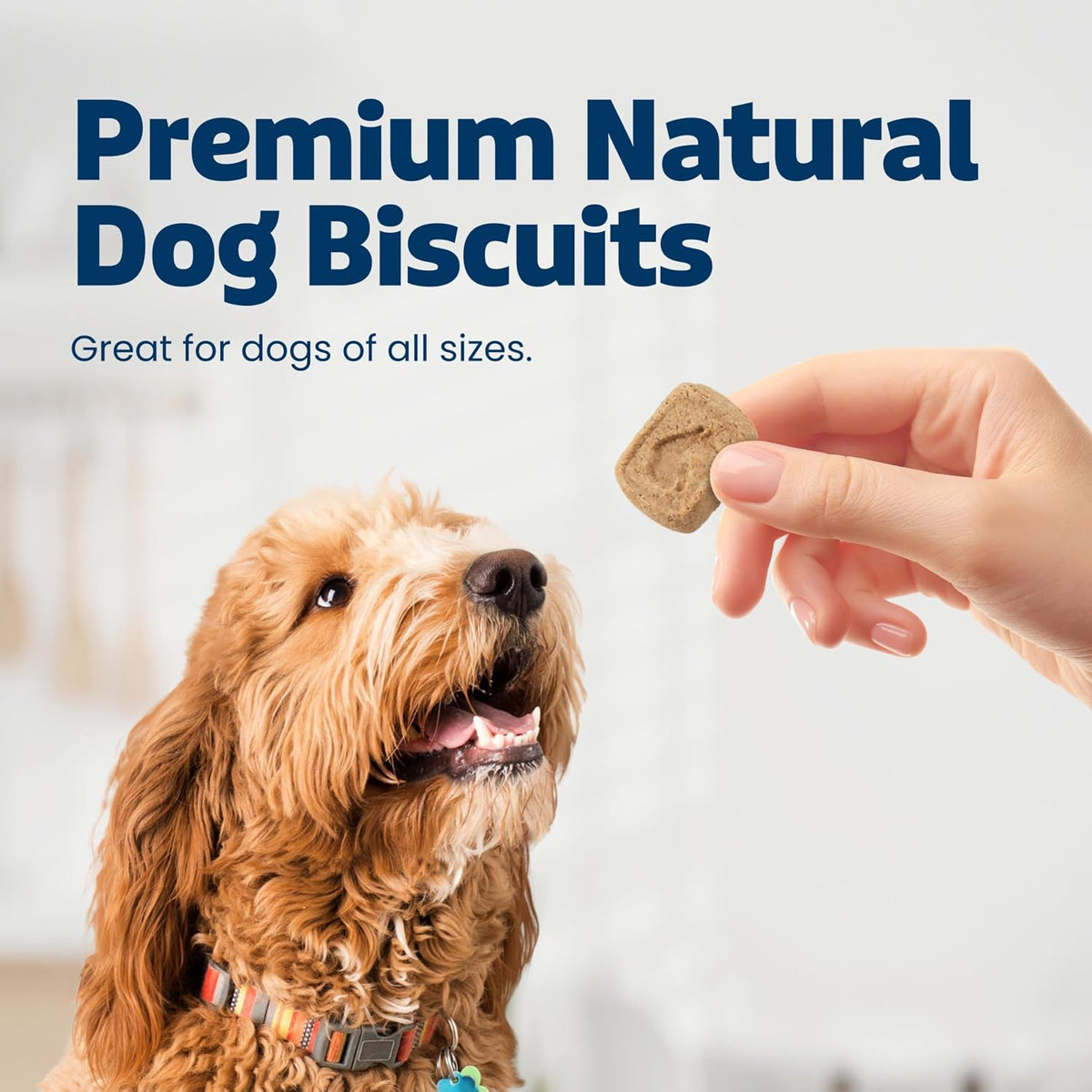 Blue Buffalo Health Bars Pumpkin & Cinnamon Dog Biscuits, 16 oz