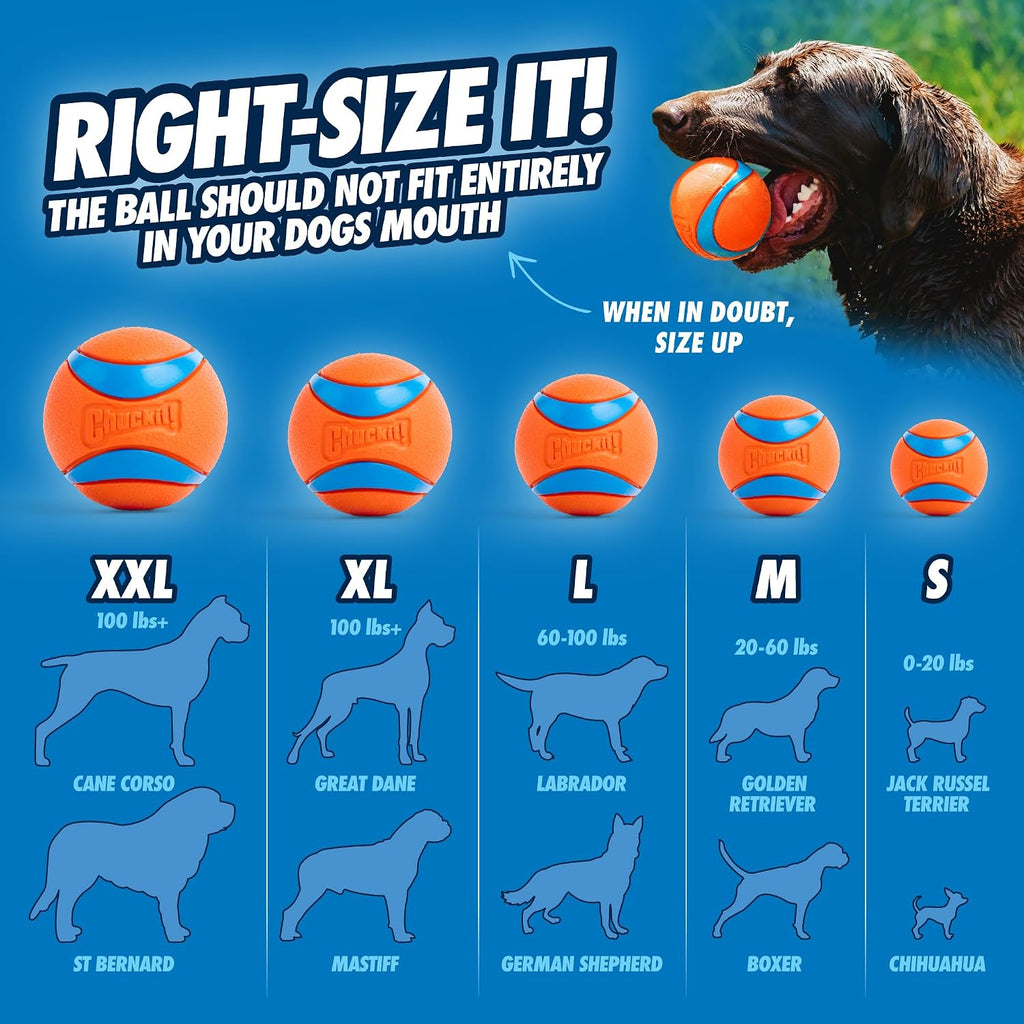 Chuckit! Ultra Squeaker Fetch Balls for Dogs, Floats, Medium 2.5in, 2 Pack