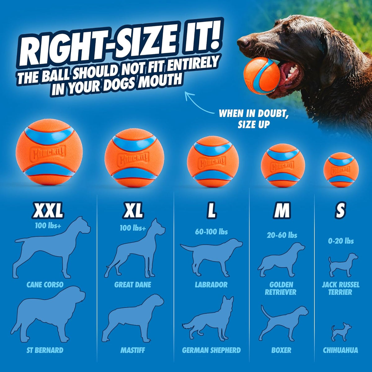 Chuckit! Ultra Squeaker Fetch Balls for Dogs, Floats, Medium 2.5in, 2 Pack