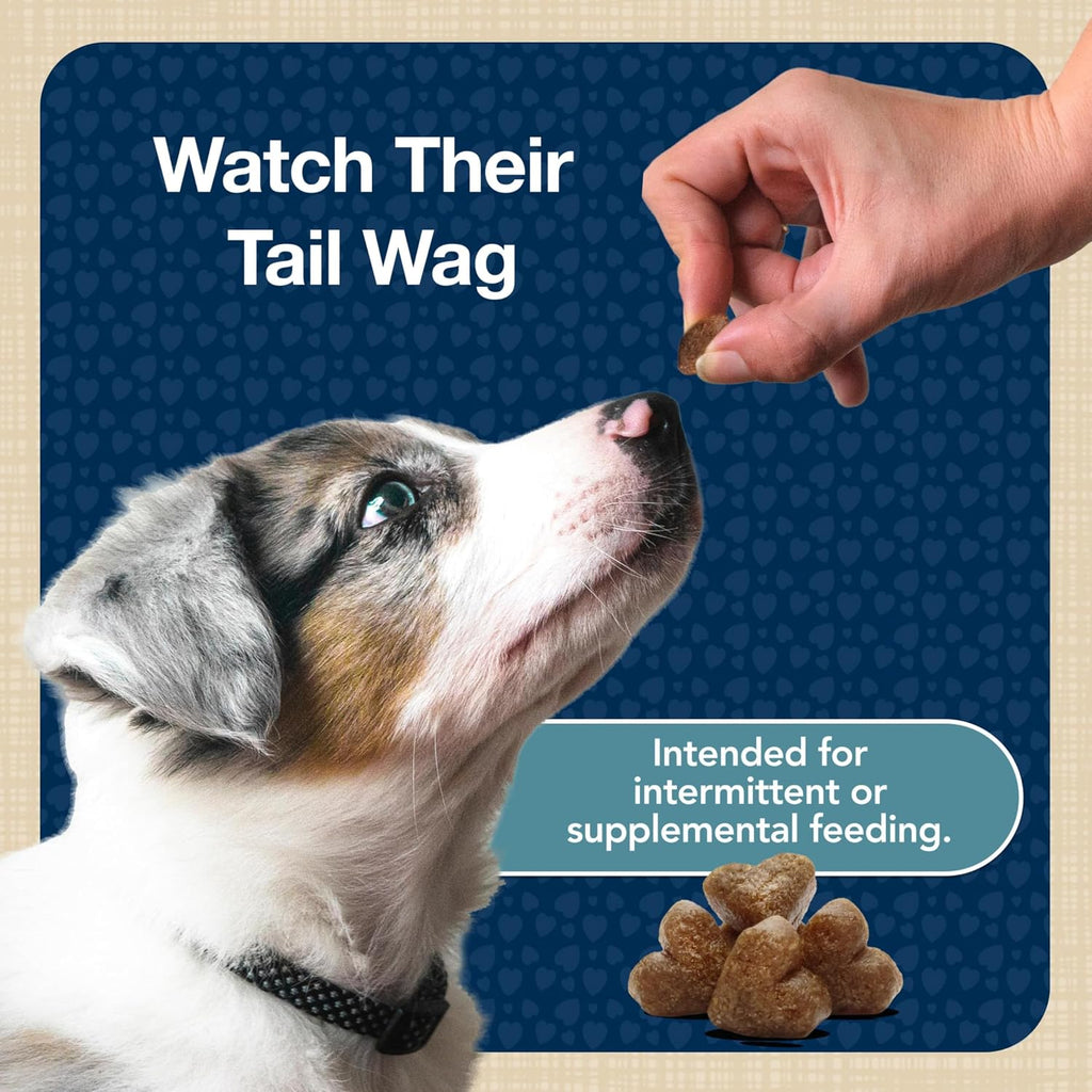 Blue Buffalo Bits Salmon Training Treats, 4 oz