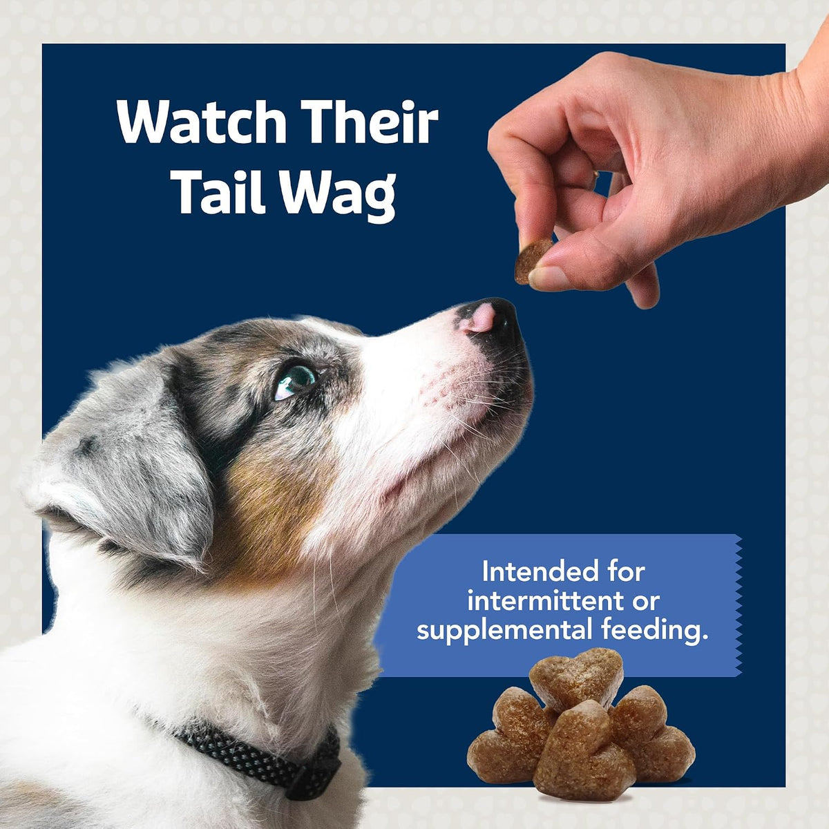 Blue Buffalo Bits Salmon Training Treats, 4 oz
