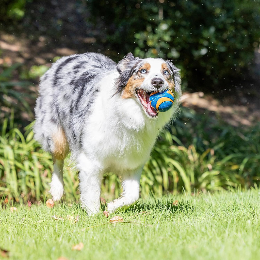Chuckit! Ultra Squeaker Fetch Balls for Dogs, Floats, Medium 2.5in, 2 Pack