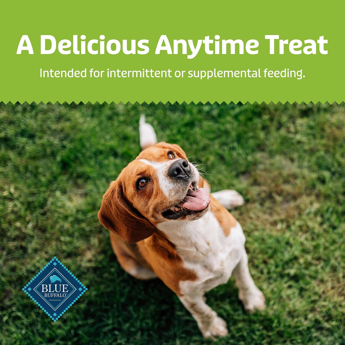 Blue Buffalo Health Bars Pumpkin & Cinnamon Dog Biscuits, 16 oz