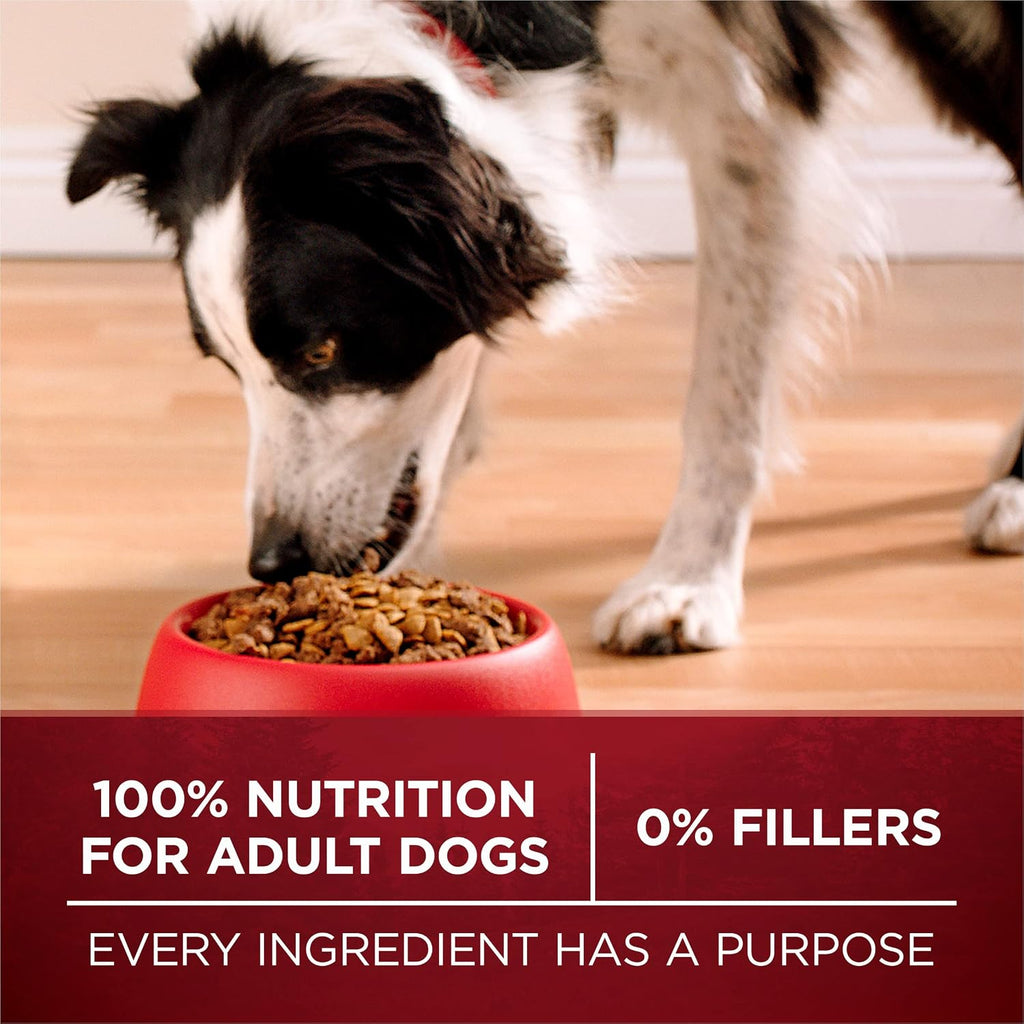 Purina ONE True Instinct Dry Dog Food, Real Turkey & Venison, 7.4 lb Bag