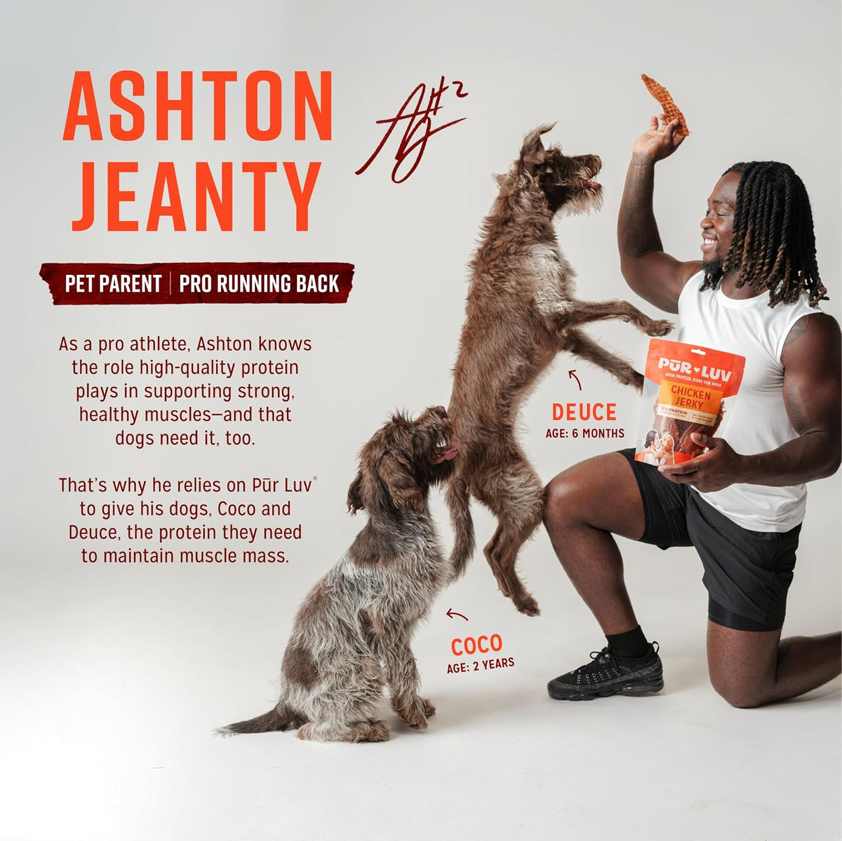 Pur Luv Chicken Jerky Dog Treats,100% Real Chicken Breast, 16 Ounces