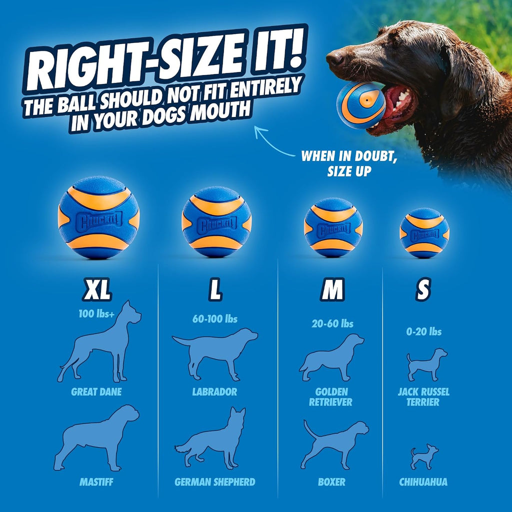 Chuckit! Ultra Squeaker Fetch Balls for Dogs, Floats, Medium 2.5in, 2 Pack