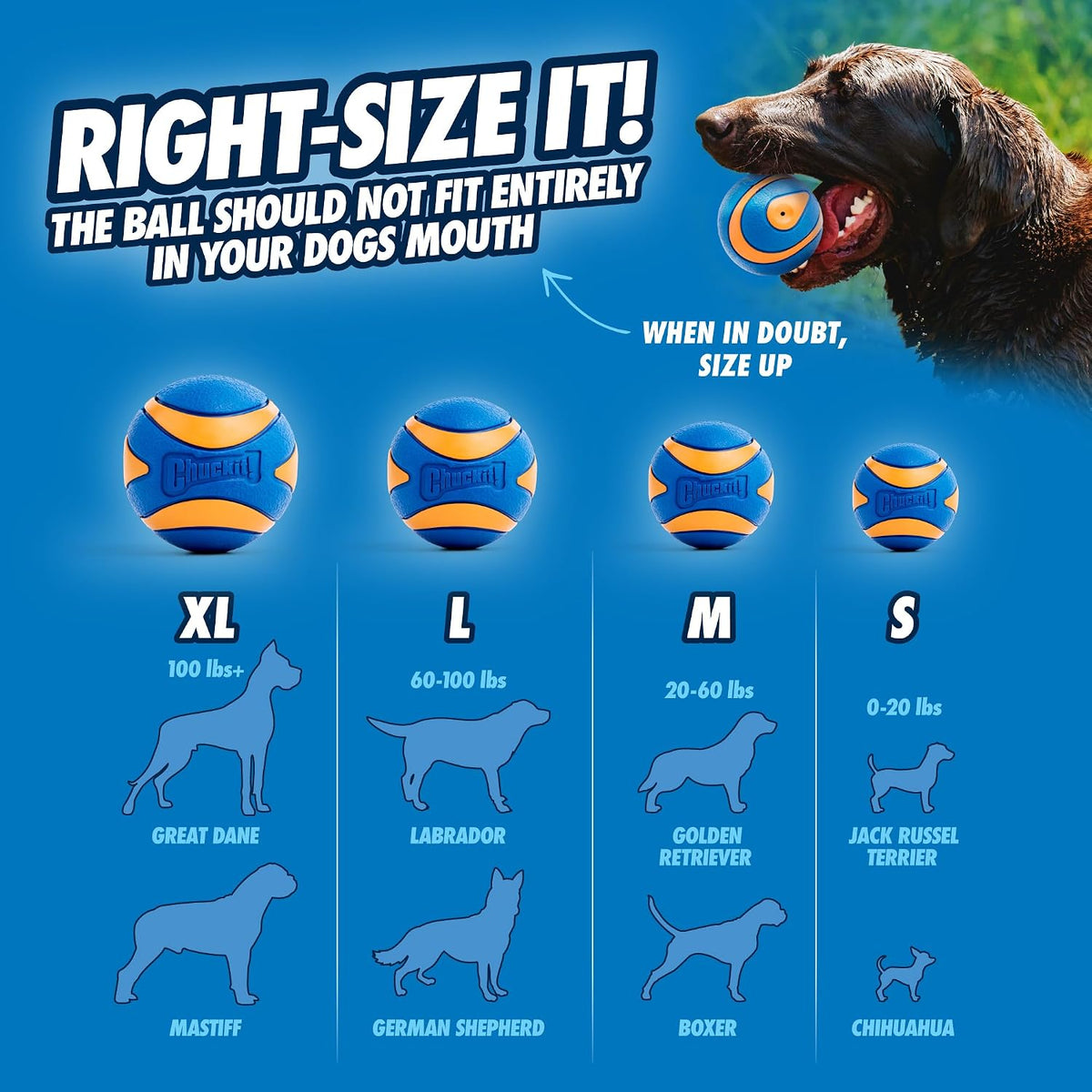 Chuckit! Ultra Squeaker Fetch Balls for Dogs, Floats, Medium 2.5in, 2 Pack