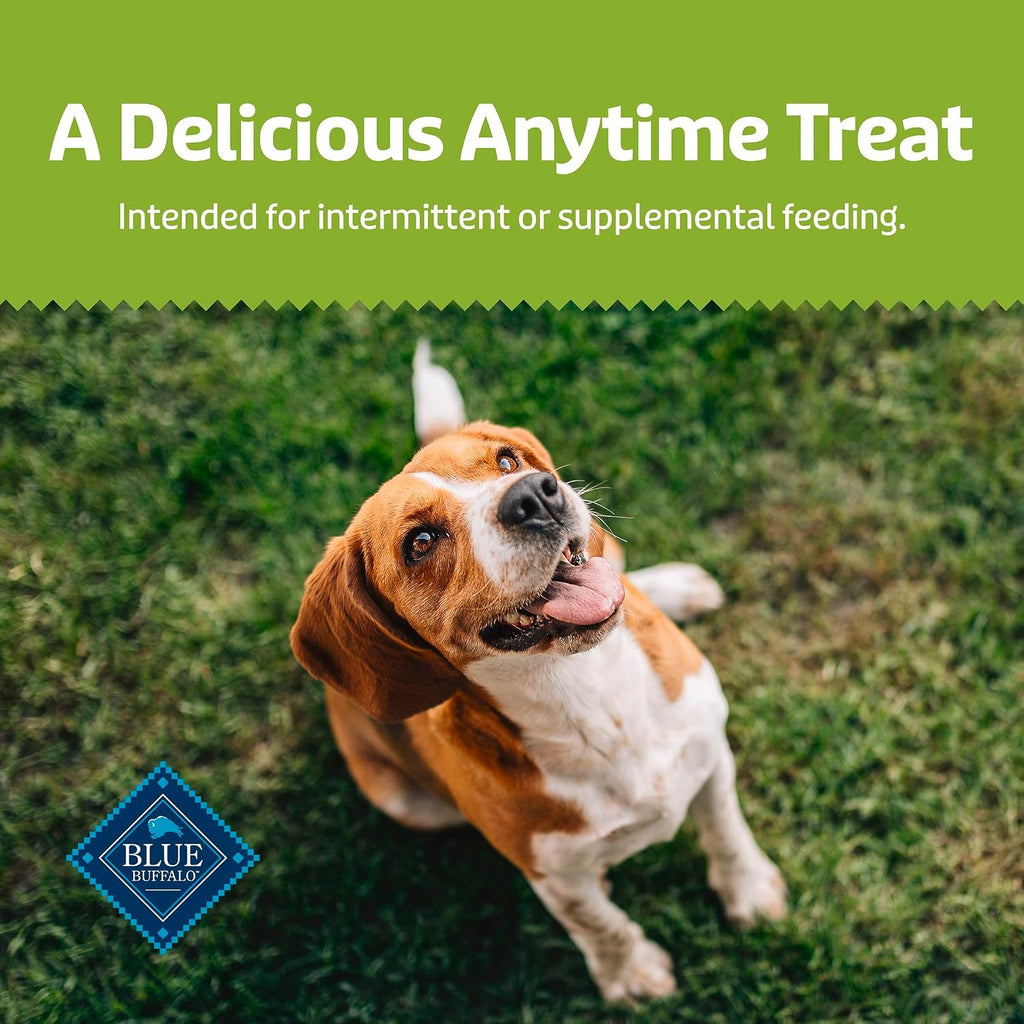 Blue Buffalo Health Bars Pumpkin & Cinnamon Dog Biscuits, 16 oz