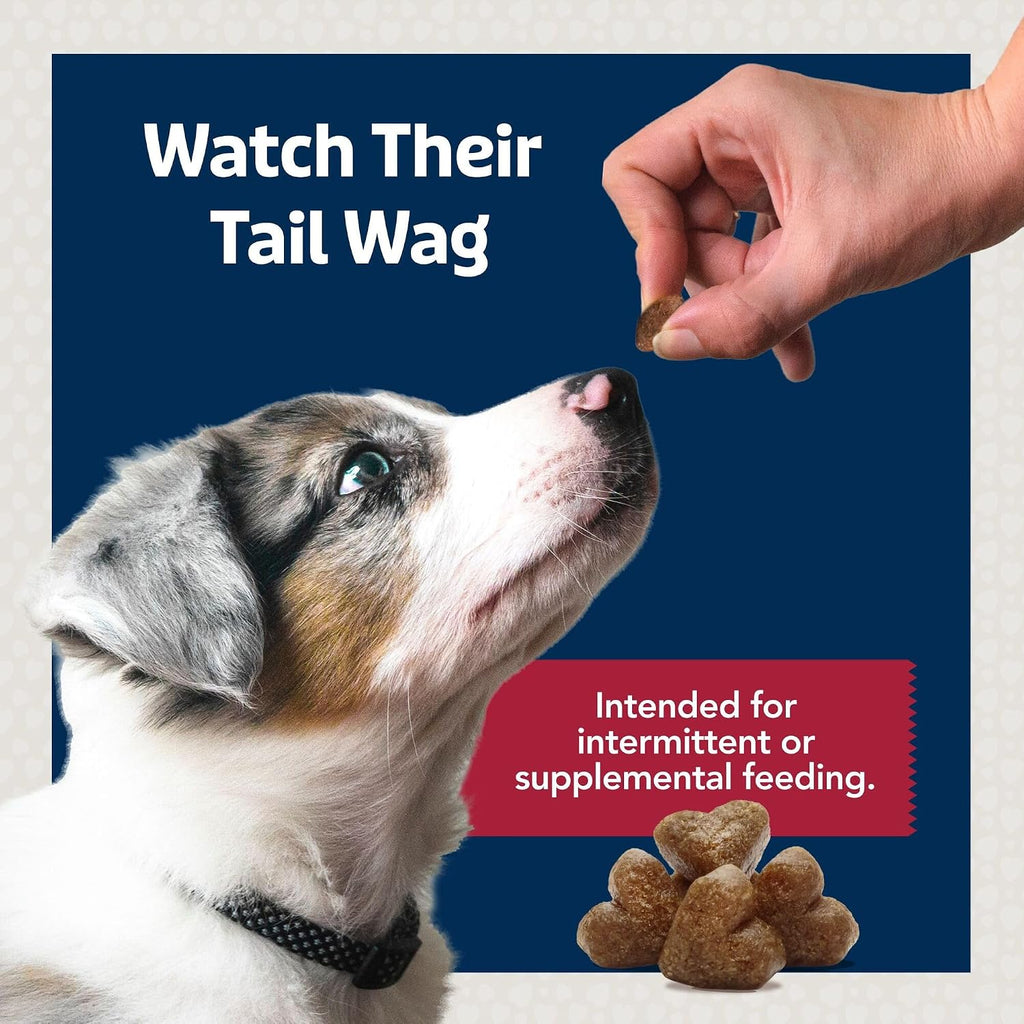 Blue Buffalo Health Bars Pumpkin & Cinnamon Dog Biscuits, 16 oz